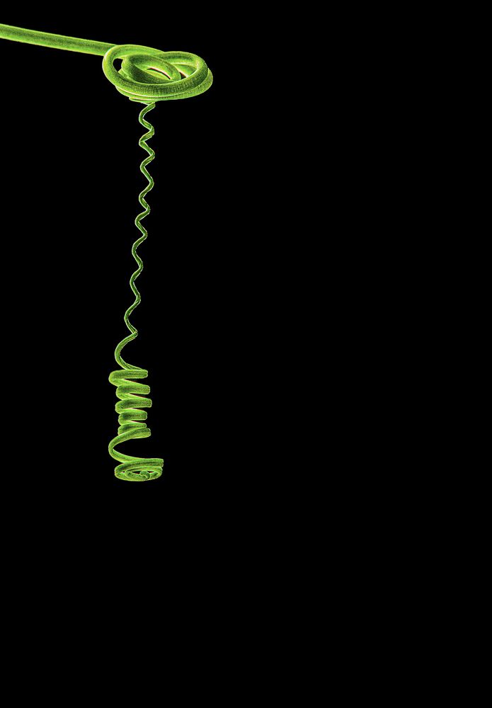 Photograph by Marc-Alain Ferragne