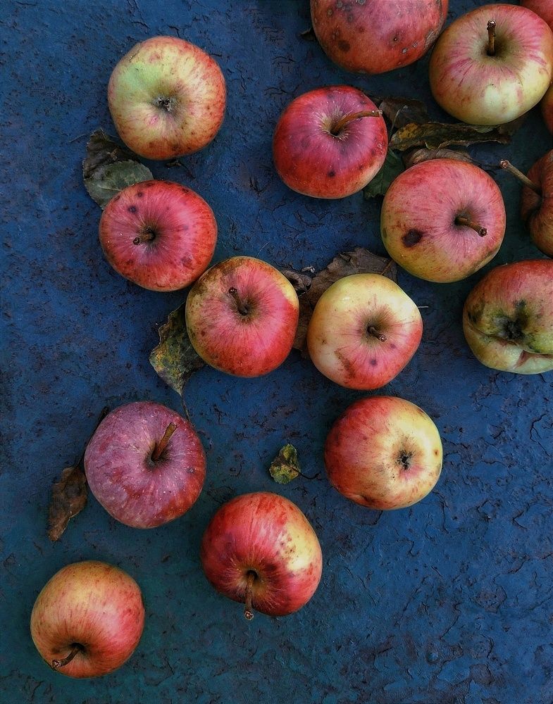 Photograph by Эльза Трисантович