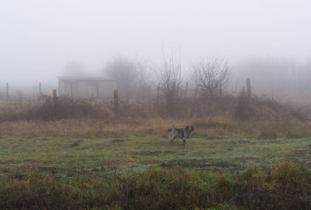 Фотография автора Дмитрий Вербицкий