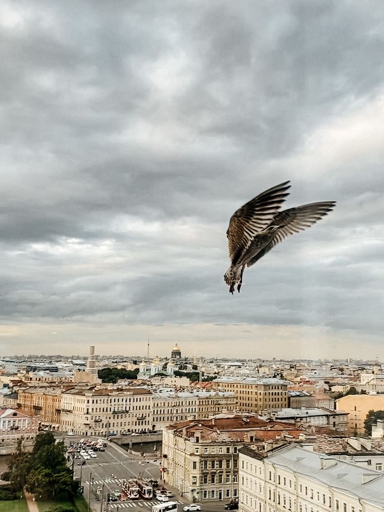 Photograph by Александр Воронов