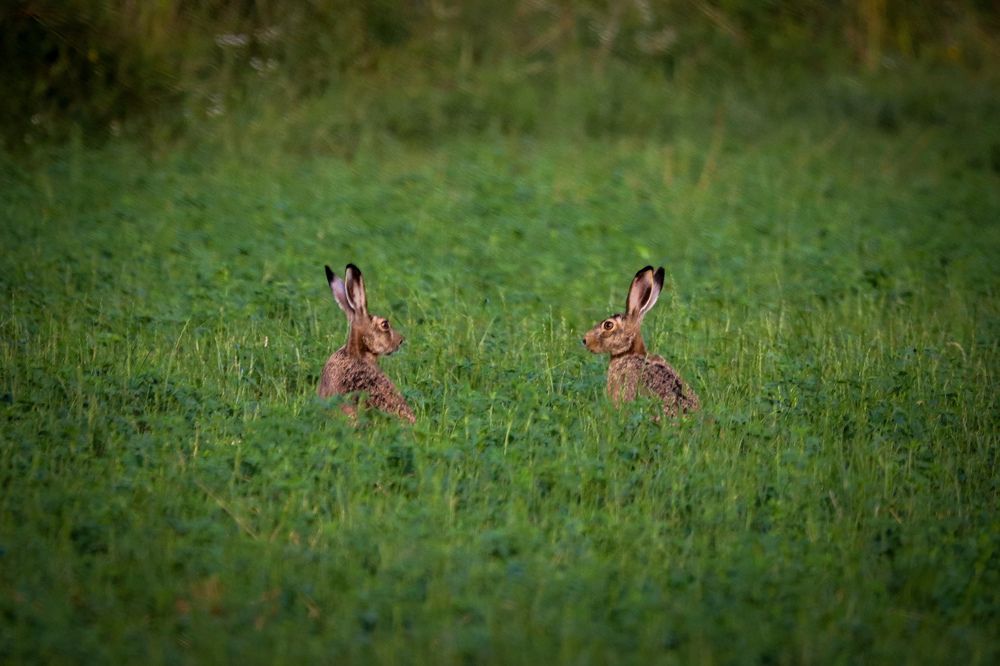 Photograph by George Alexandru Ghiuro
