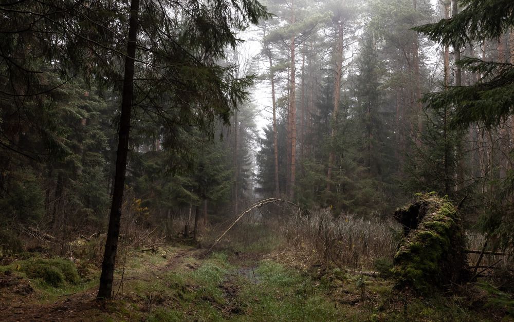 Photograph by Александр Степанов