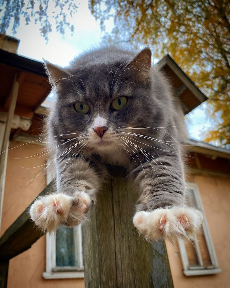 Photograph by Светлана Коган