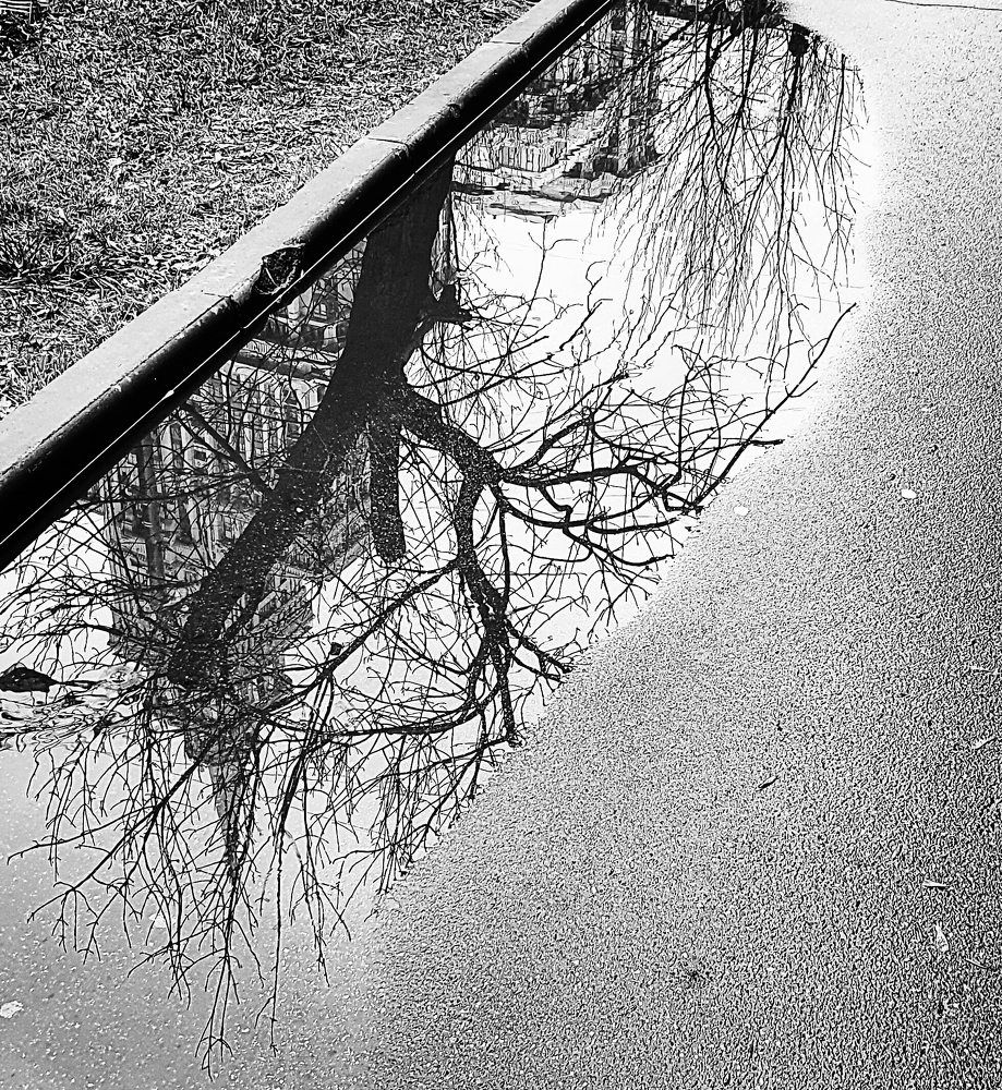 Photograph by Екатерина Маградзе