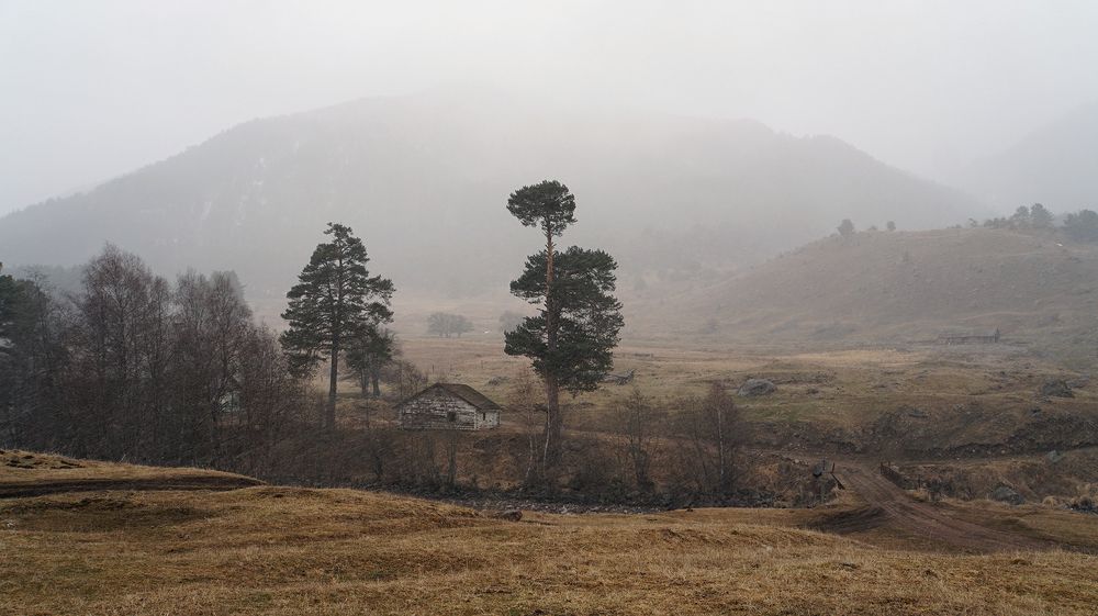 Photograph by Ирина Кравченко