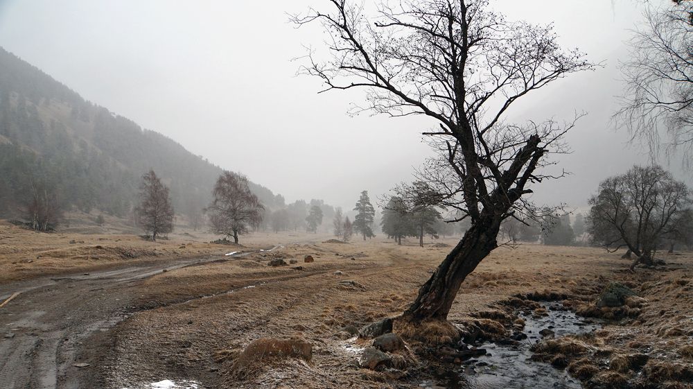 Photograph by Ирина Кравченко