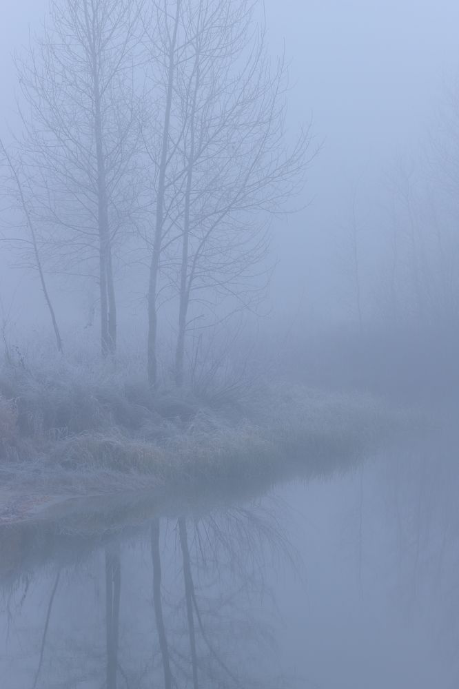 Photograph by Татьяна Белевцова