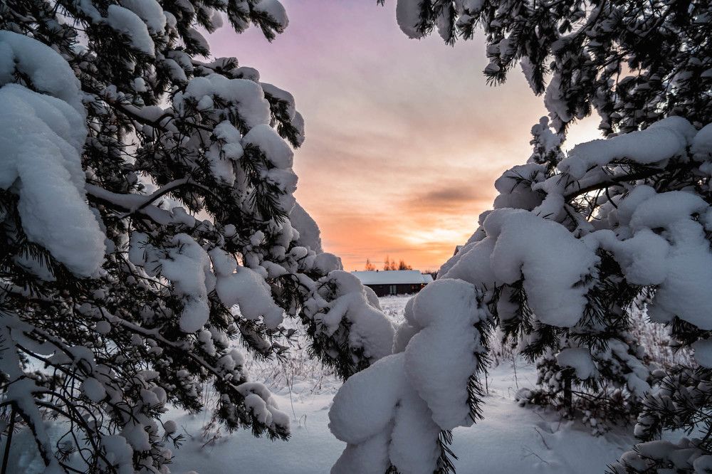 Photograph by Ангелина Басалыга