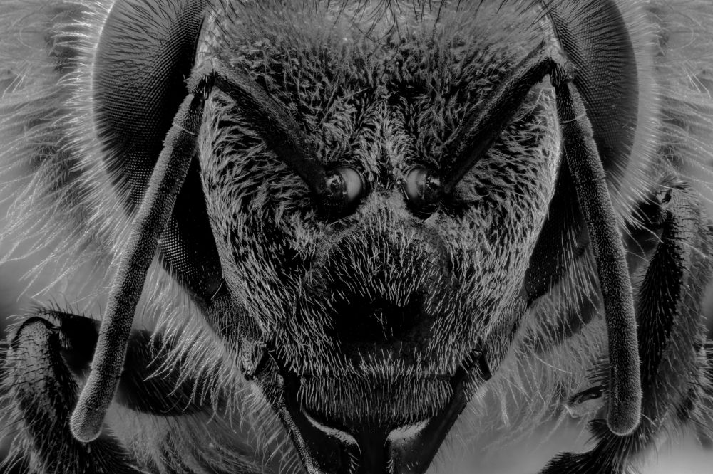 Photograph by Rui Santos