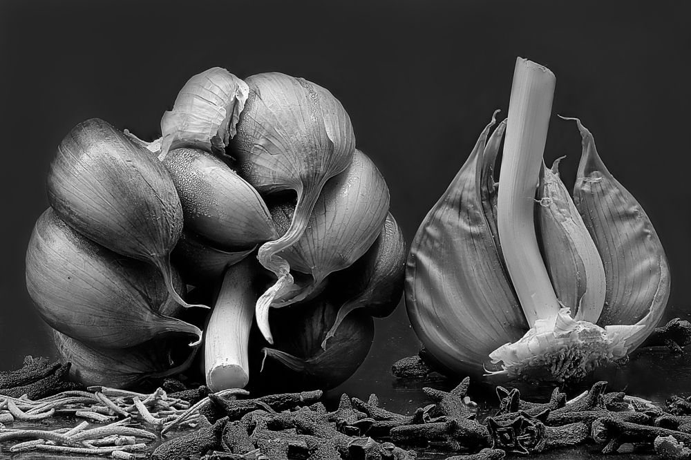 Photograph by Rui Santos