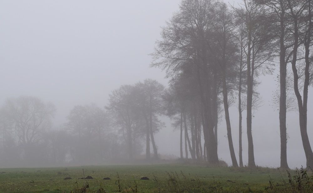 Фотография автора Agnieszka