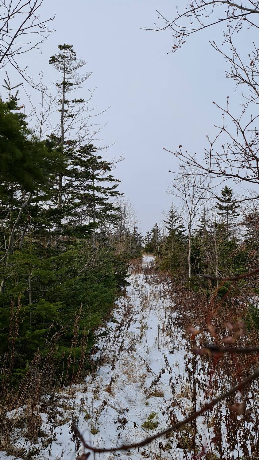 Photo #6842134