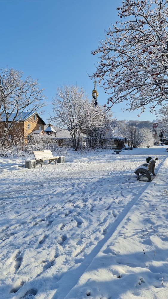 Photograph by Наталья Скырпан