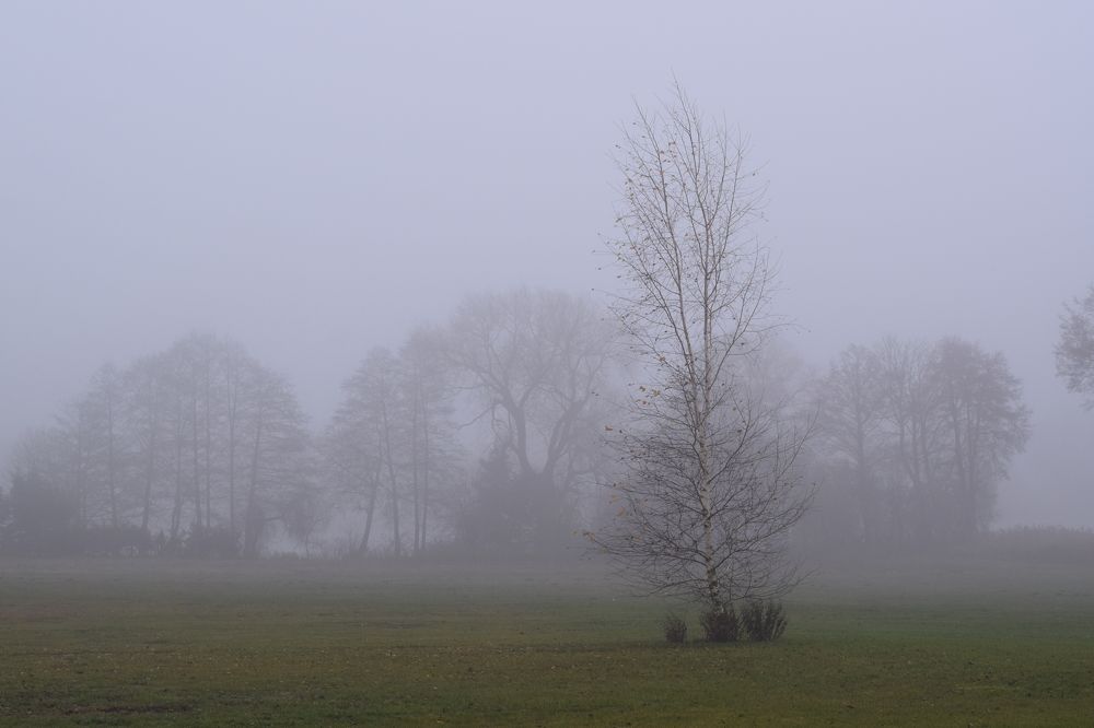 Фотография автора Agnieszka