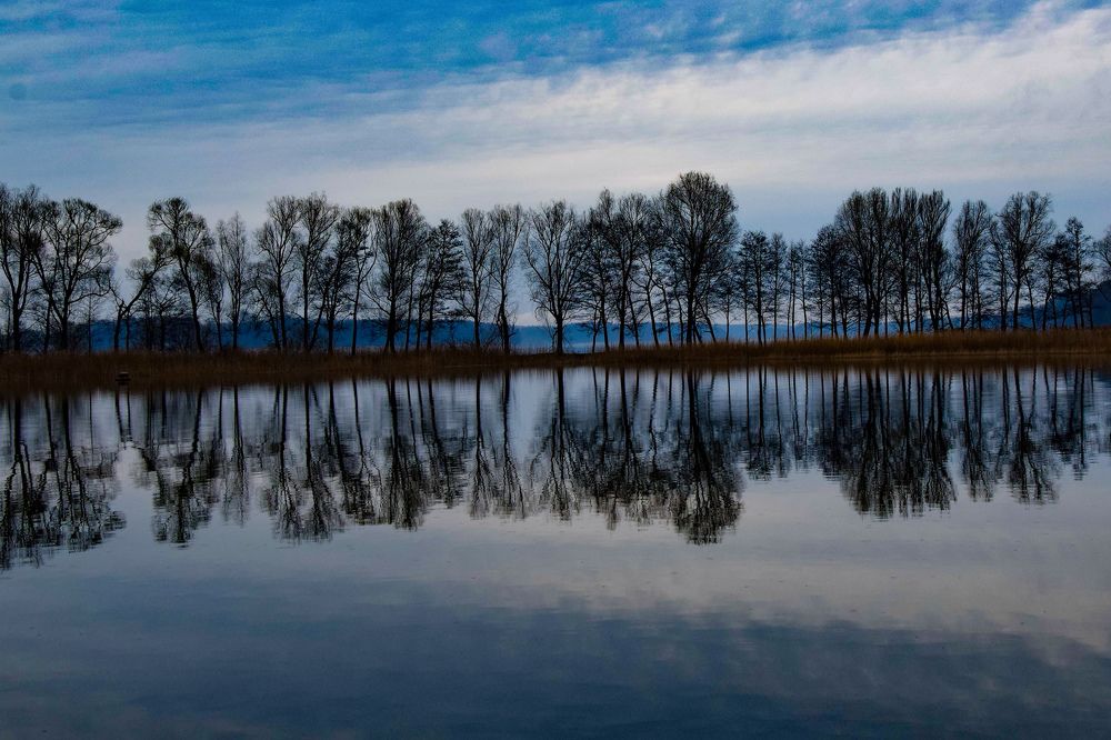 Фотография автора Agnieszka