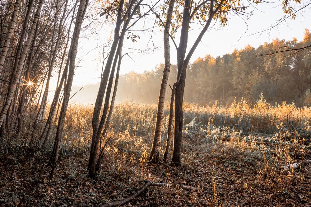 Photograph by Александр Степанов