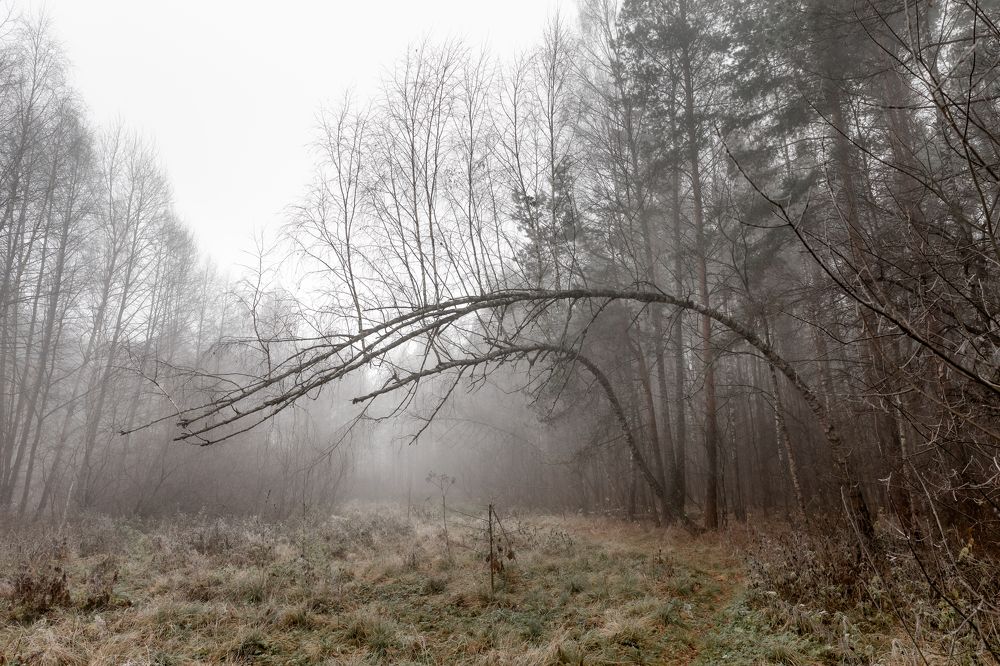 Photograph by Александр Степанов