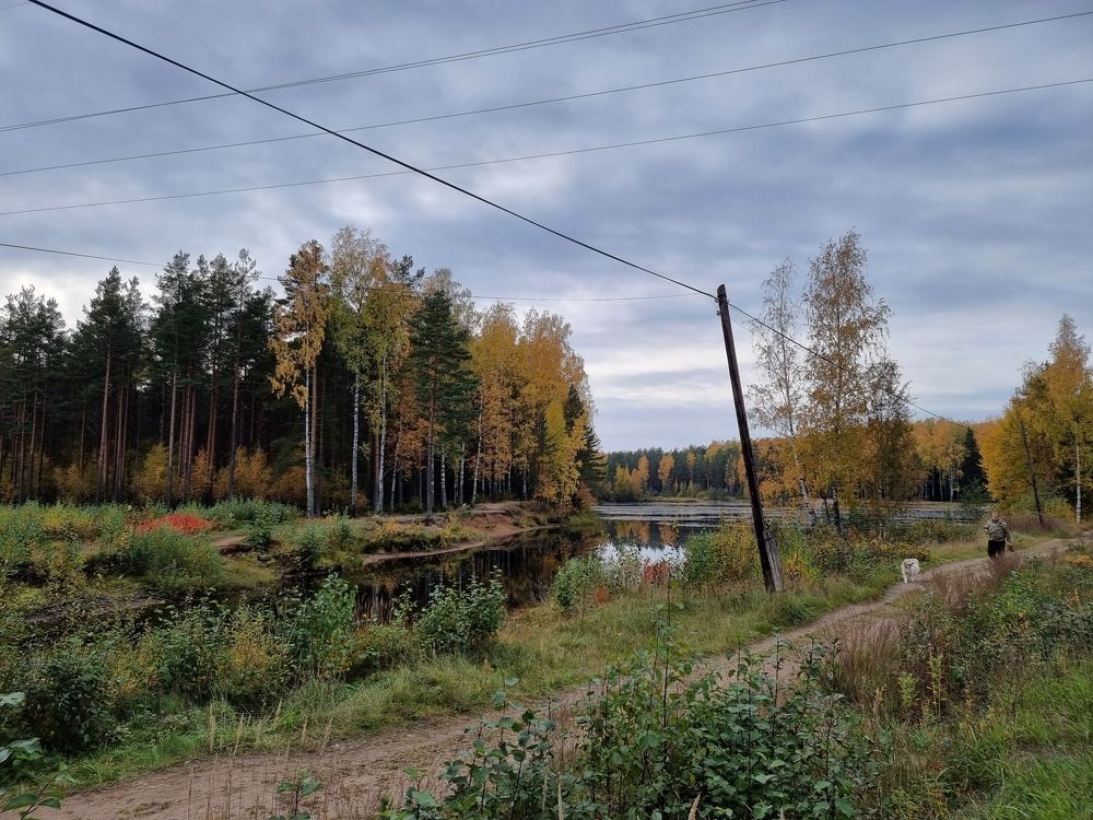 Photograph by Elena Vakh