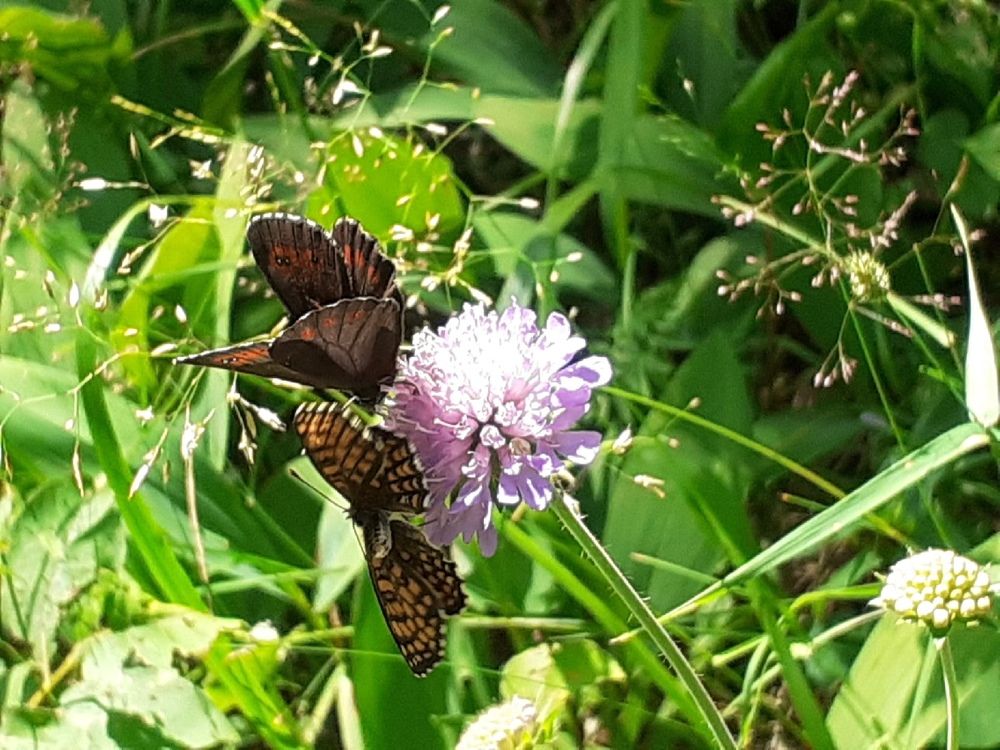 Photograph by Евгения Ульянова