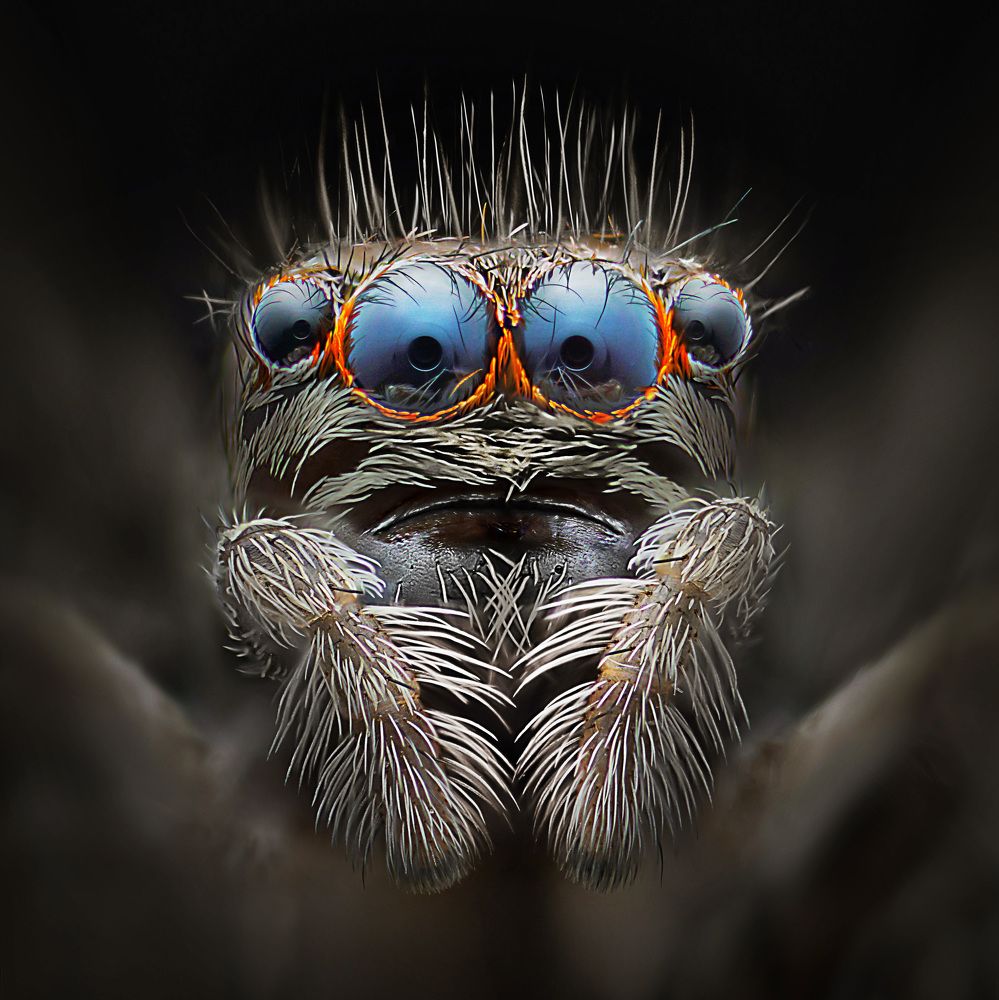 Photograph by Eduardo Modolo