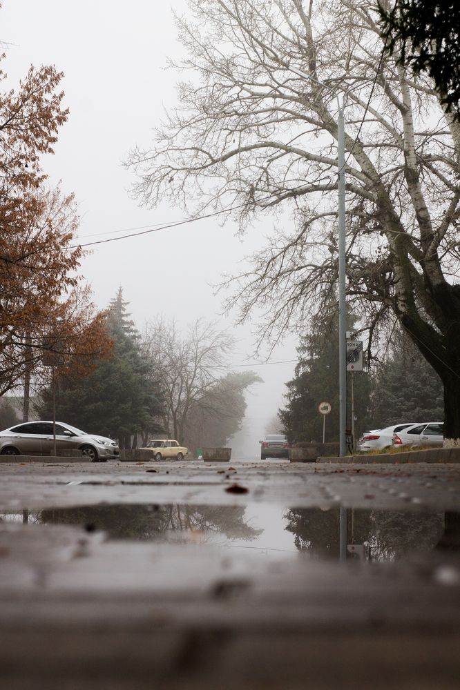 Photograph by Артем Попов