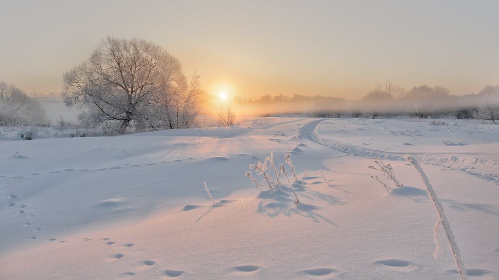 Photograph by Николай Андреев