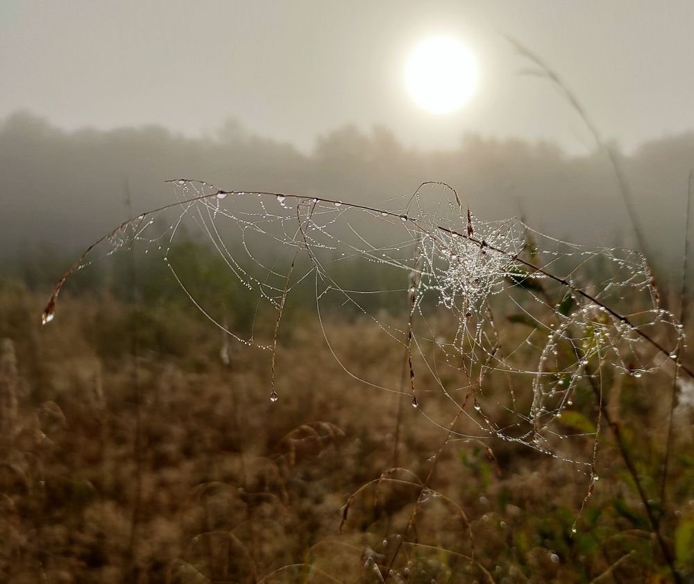 Photograph by Елена Верховская