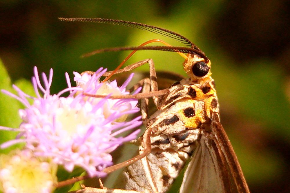 Photograph by Khairul Zamzami