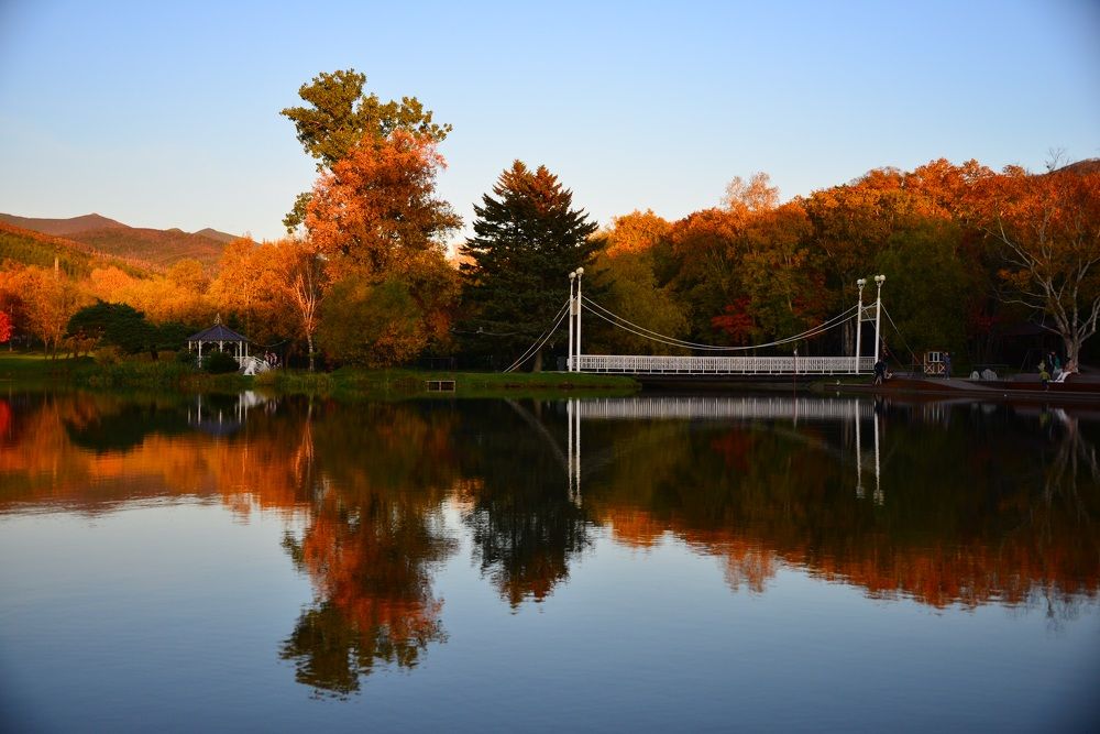 Пешеходный мостик с отражением в воде