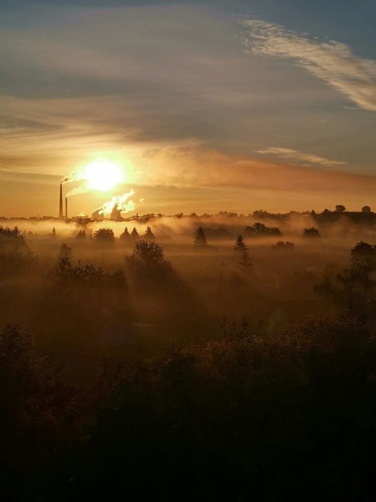 Фотография автора Регина Цыганова