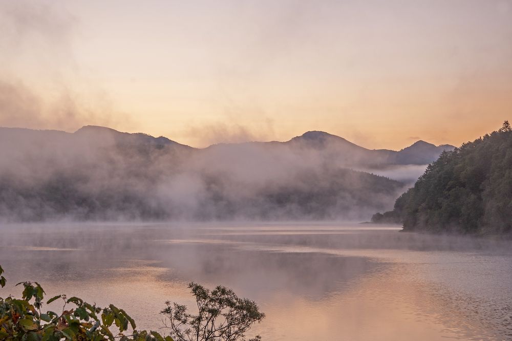 Photograph by Максим Тыщенко