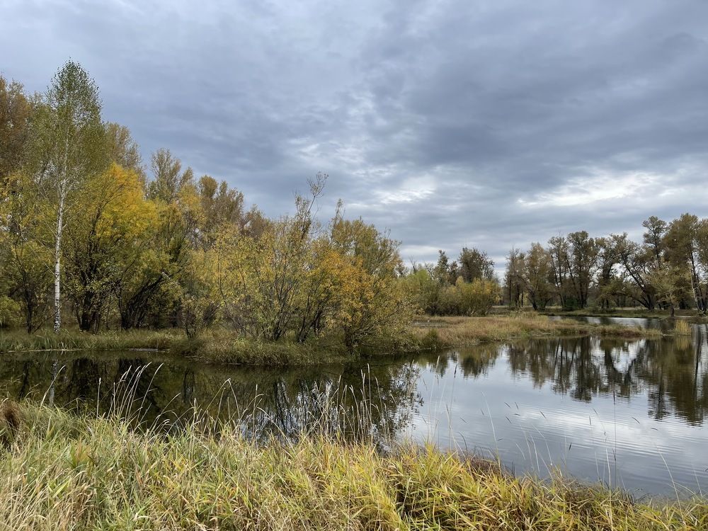 Фотография автора Шутенкова Евгения
