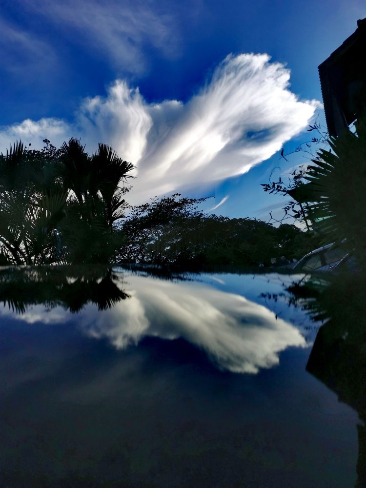 Photograph by Chunhou Poon