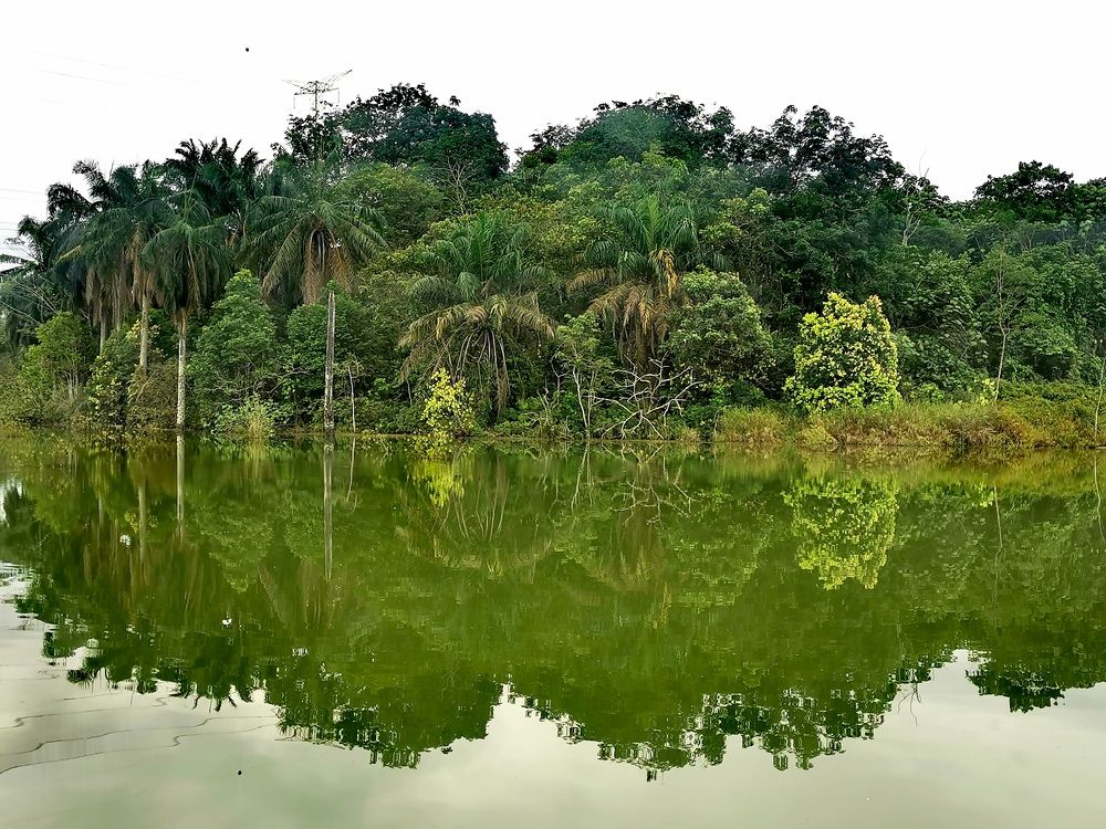 Photograph by Chunhou Poon