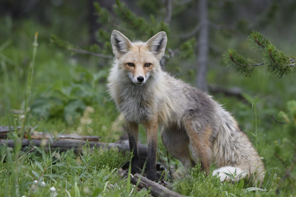 Photograph by Jorn Vangoidtsenhoven