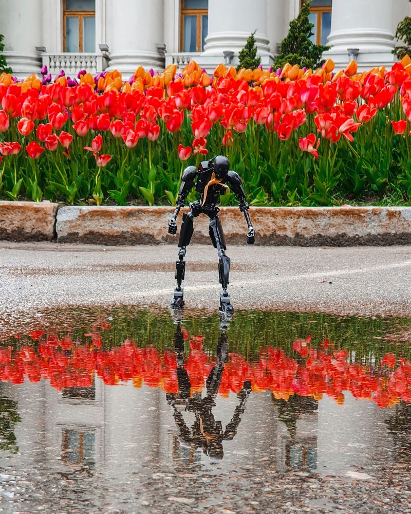 Photograph by Liudmila Kirillova