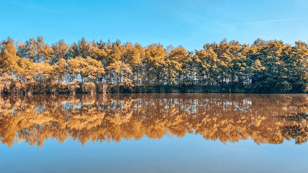 Photograph by Liudmila Kirillova