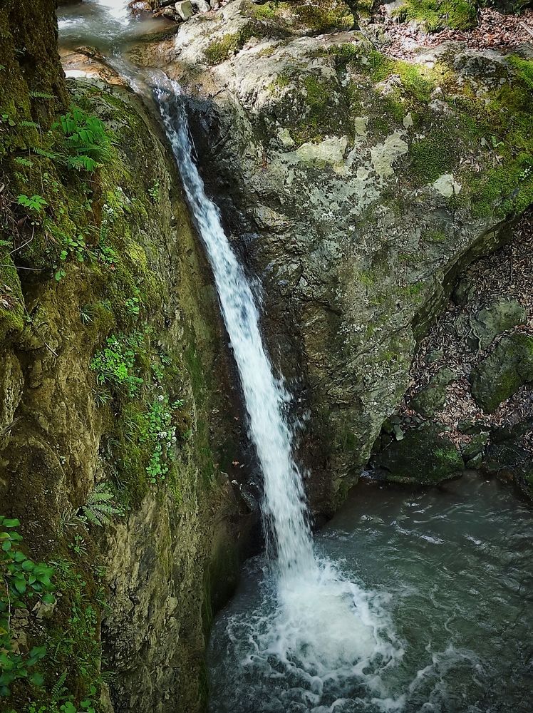 Photograph by Владимир Караман