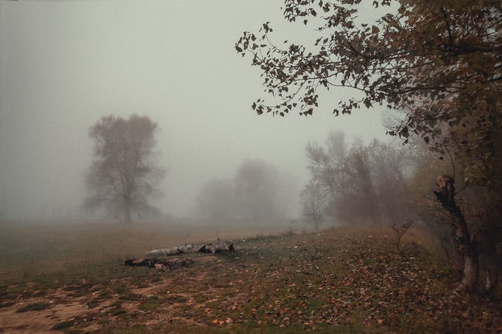 Фотография автора NIC NICOSIPOV