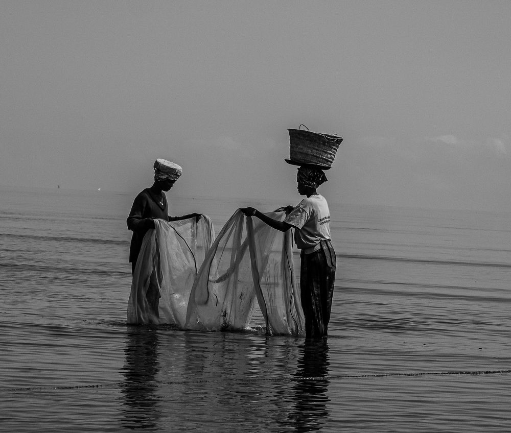 Photograph by Michael Albin