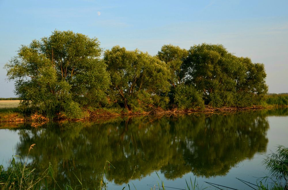 Photograph by Ольга Моисеева