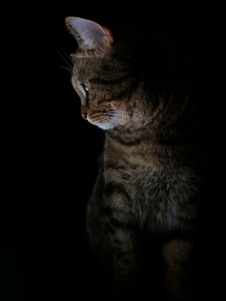 Photograph by Екатерина