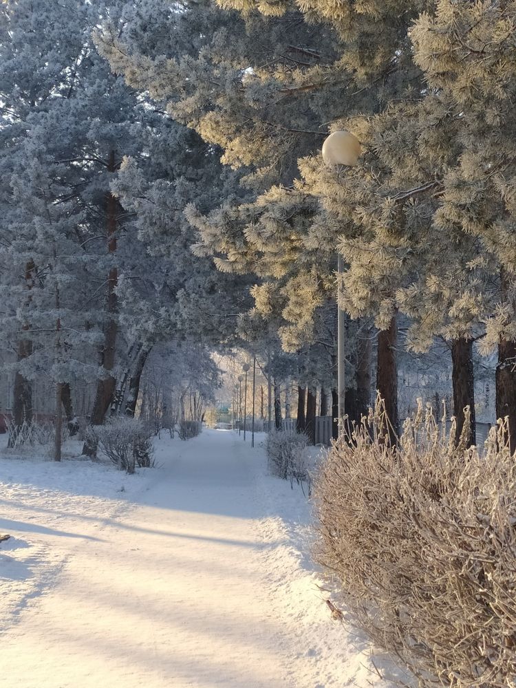 Photograph by Elena Kilina