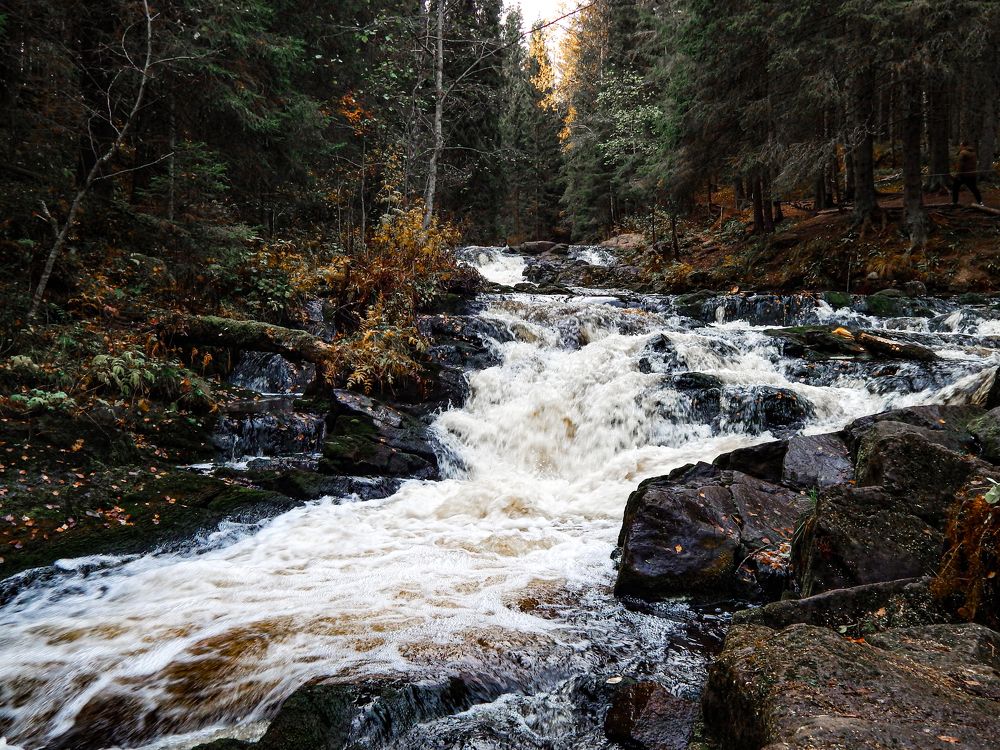 Photograph by Карина Заводчикова