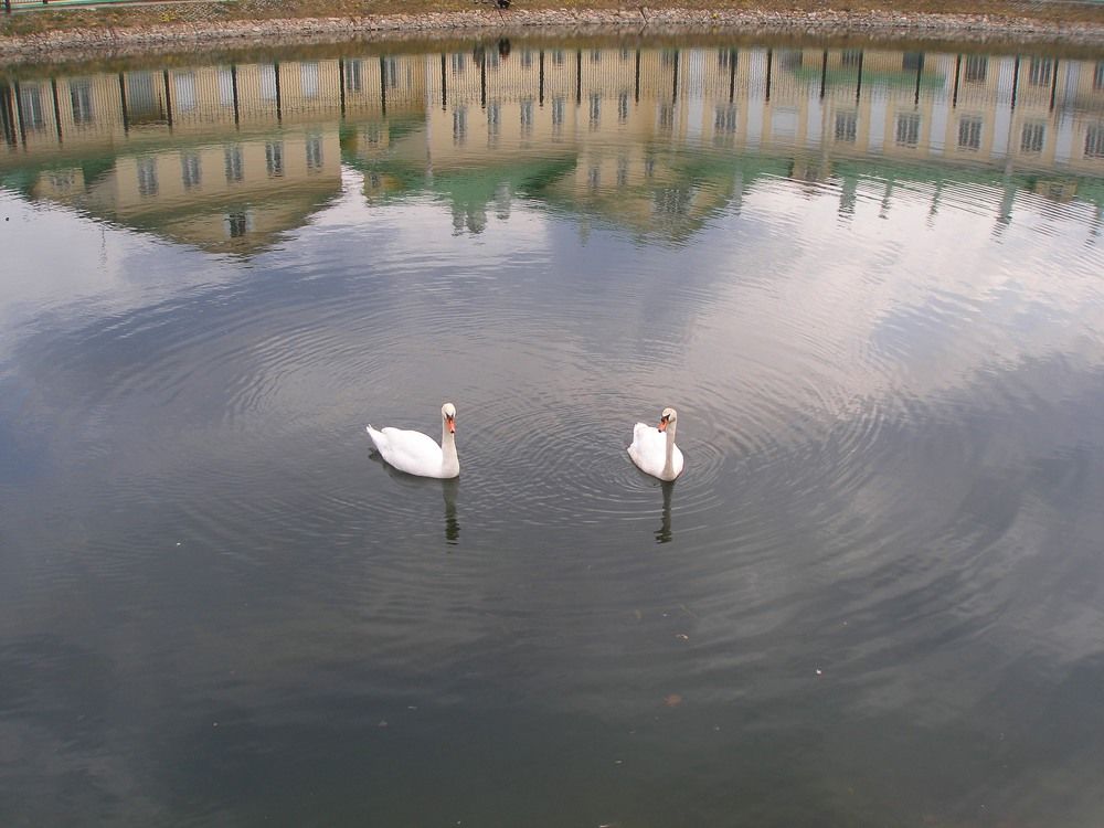 Photograph by Алексей Липкин