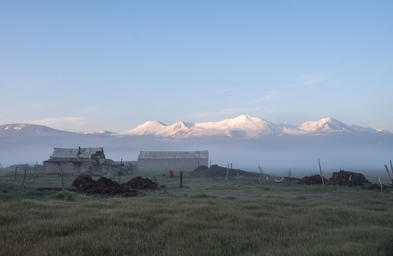 Photo #6842980