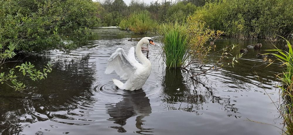 Photograph by Игорь Горчинский