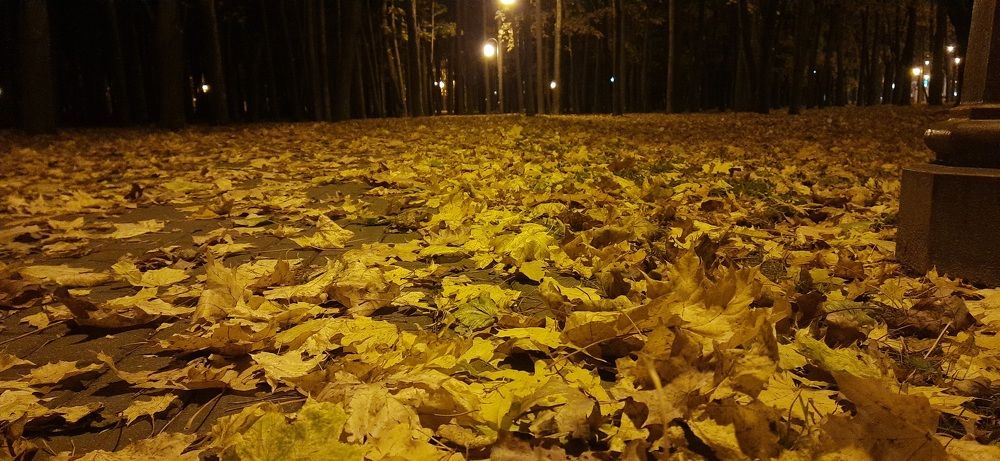Photograph by Игорь Горчинский