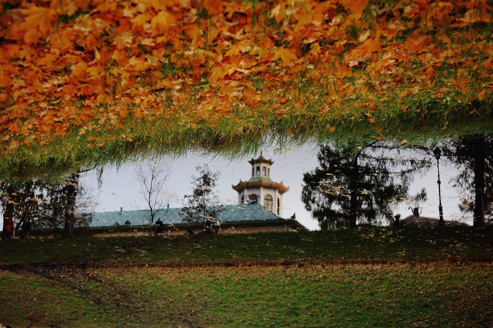 Photograph by Николаева Анна