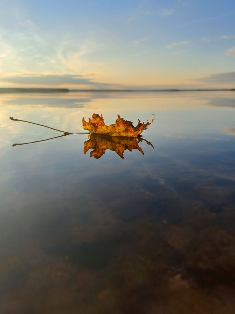 Photograph by Зоя